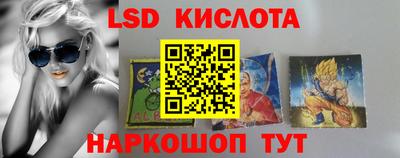 тгк Кингисепп