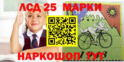 тгк Кингисепп