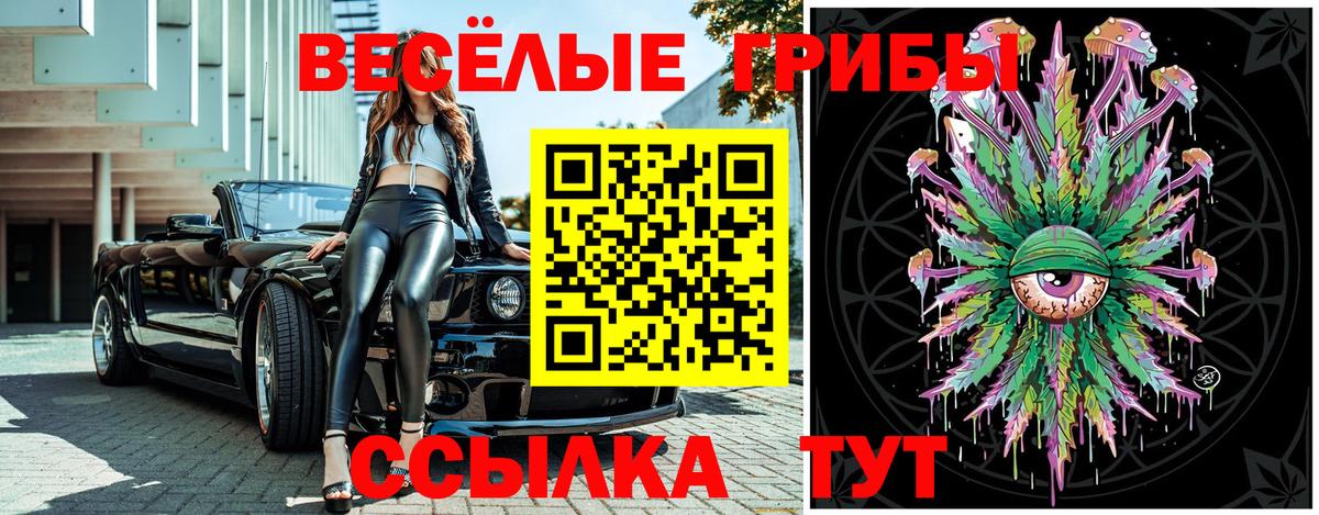 Галлюциногенные грибы Psilocybine cubensis  Псилоцибиновые грибы мицелий  Вход с VPN  Чебаркуль 