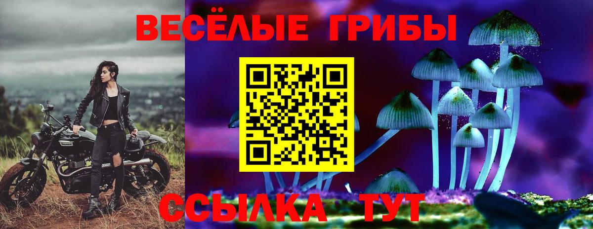 Галлюциногенные грибы мухоморы Чебаркуль